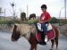 Paseo en Pony